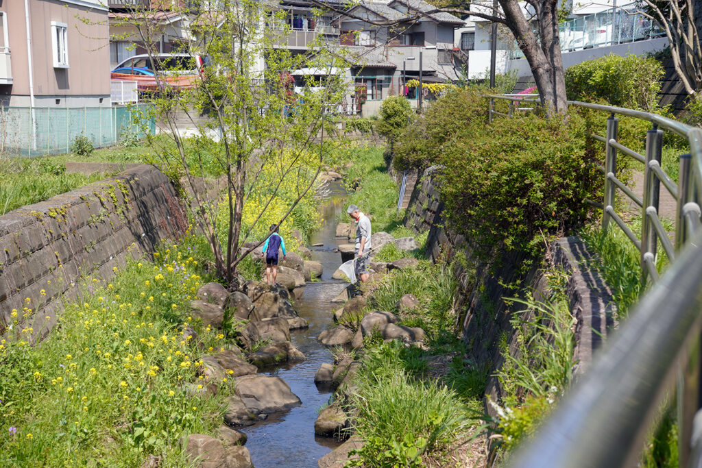 馬洗川せせらぎ緑道