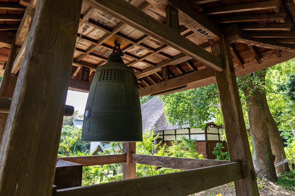 西方寺曼珠沙華